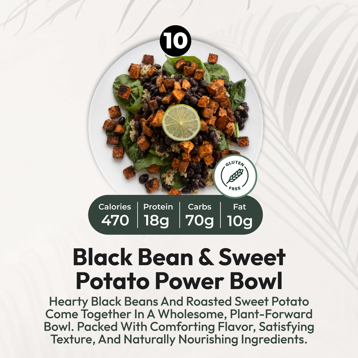 14 Meal Plan