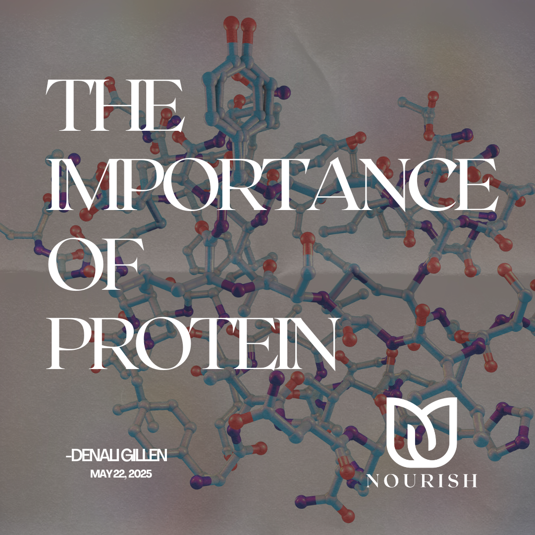 The Importance of Protein
